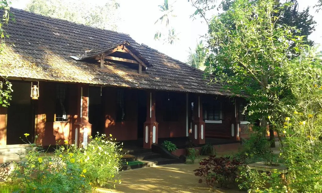 Big Banana Island Retreat