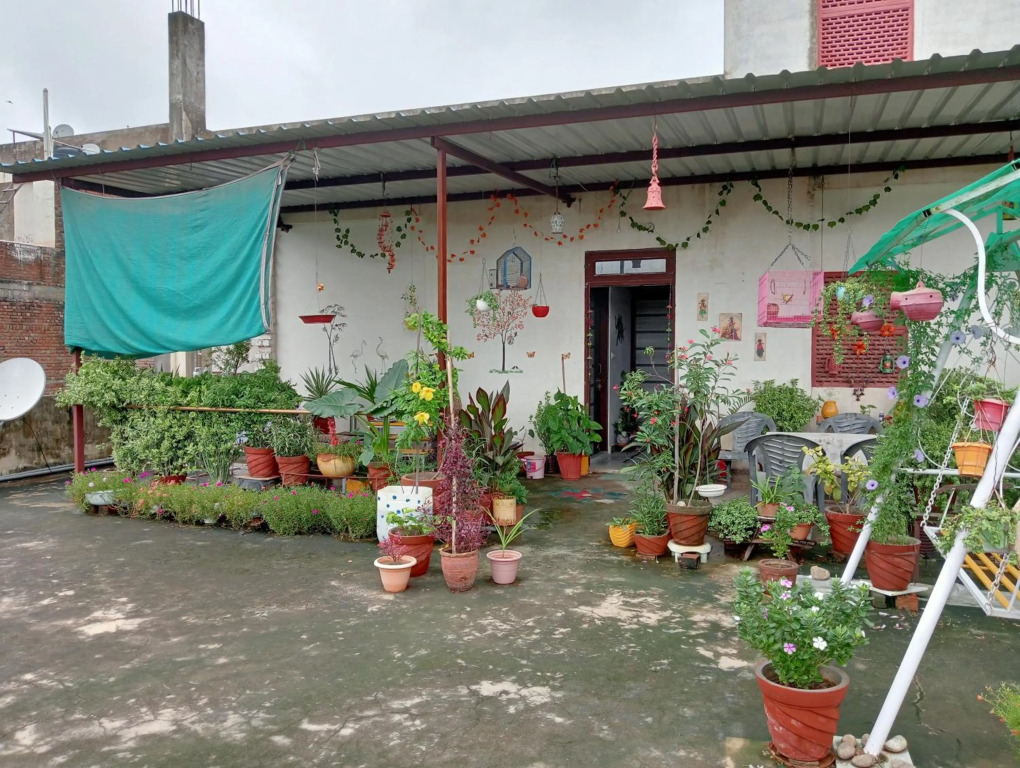 Jaipur Marigold Homestay