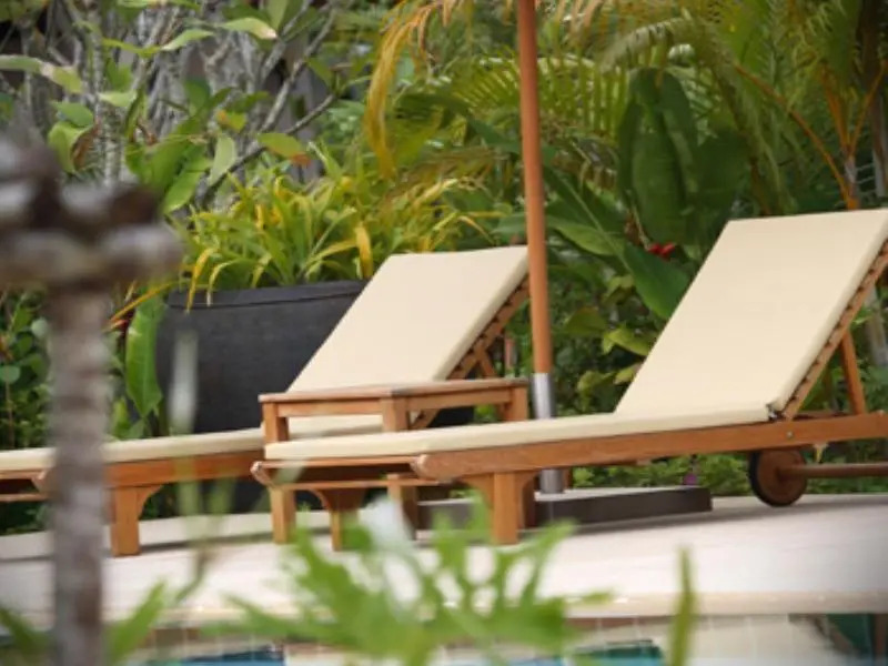 Tree Resort Palai v1