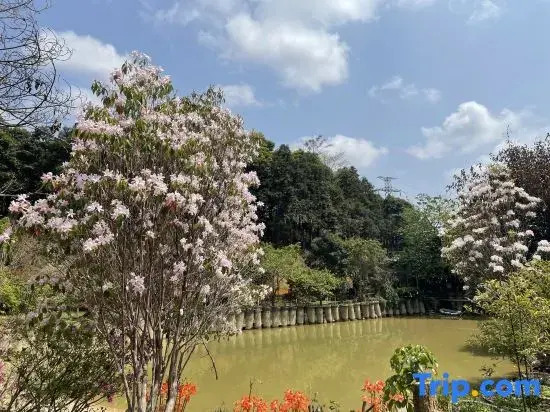 Nankunshan Mountain Farmhouse