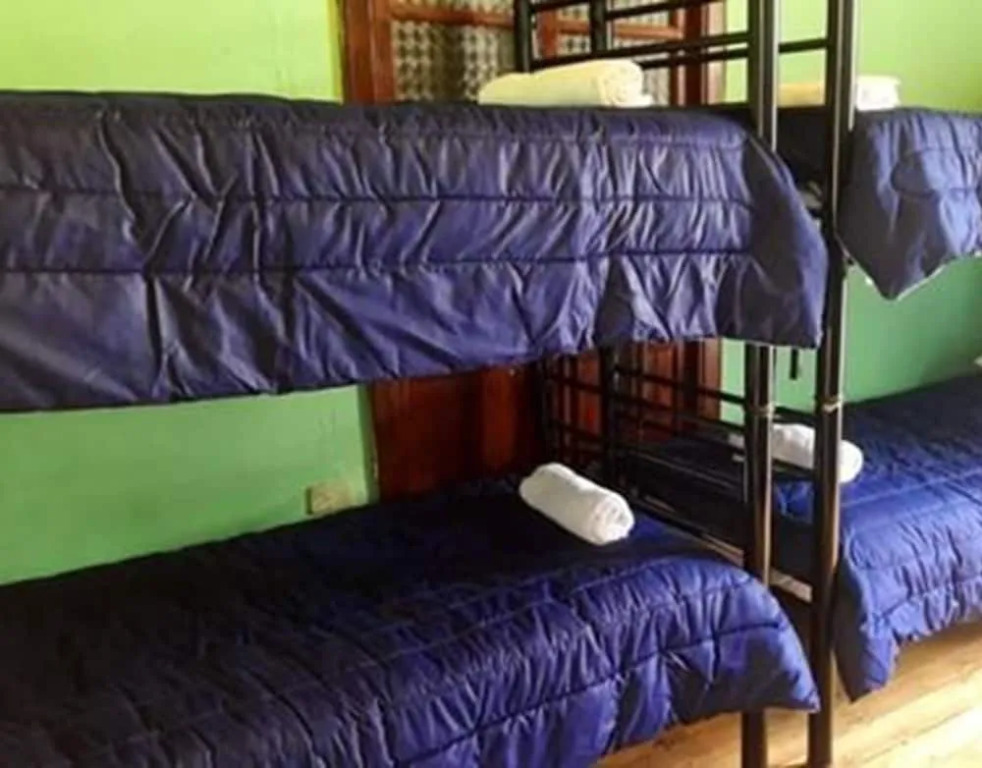 Friendly House  Hostel