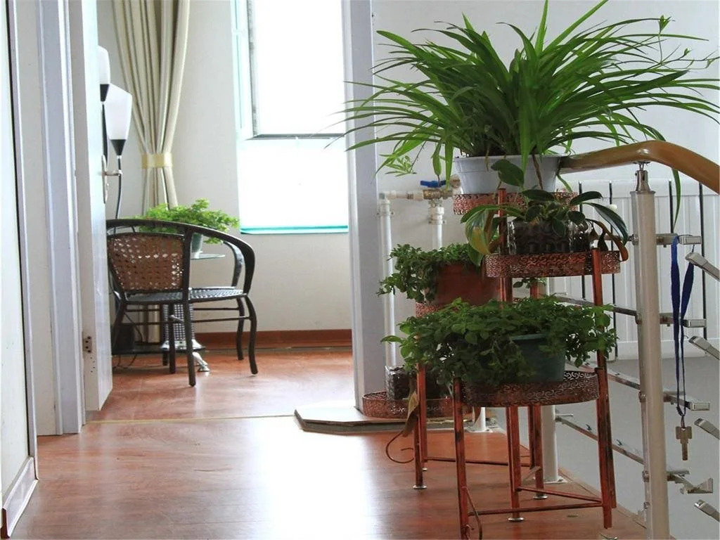 Yun Shang Jiangnan Hostel