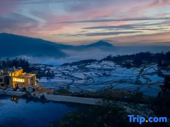 Rice Field Ideal | Blue Terraced Fields Panoramic View Homestay
