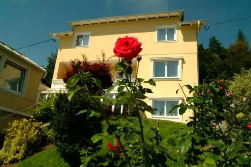 Pension Ayurveda & Venenklinik