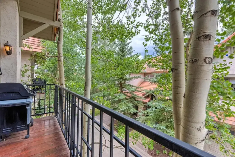 Aspen Ridge 32 by Alpine Lodging Telluride