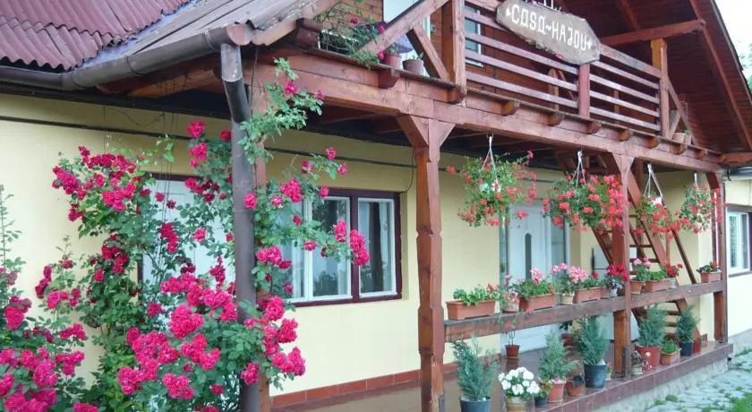 Casa Hajdu