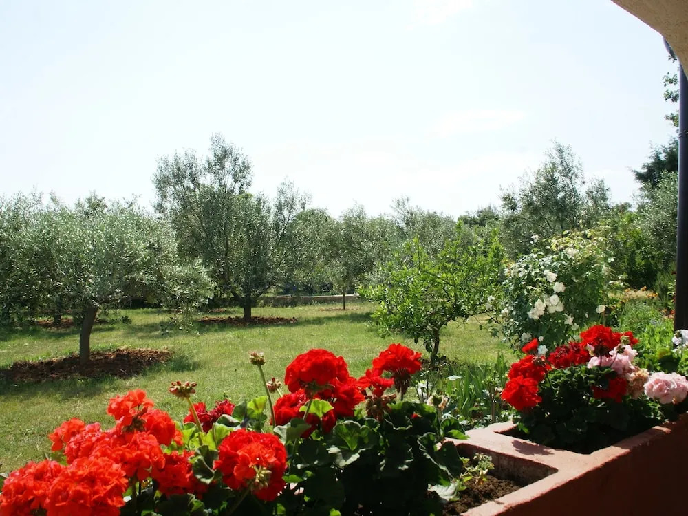 Spacious Bungalow near Sea in Medulin