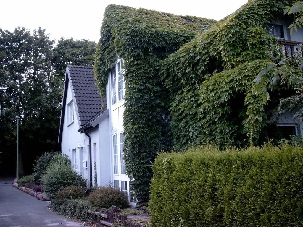 Ferienwohnung Antje und Jule