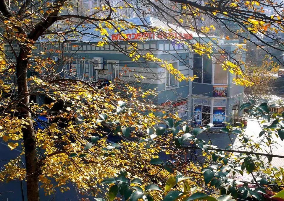 Hotel Newland