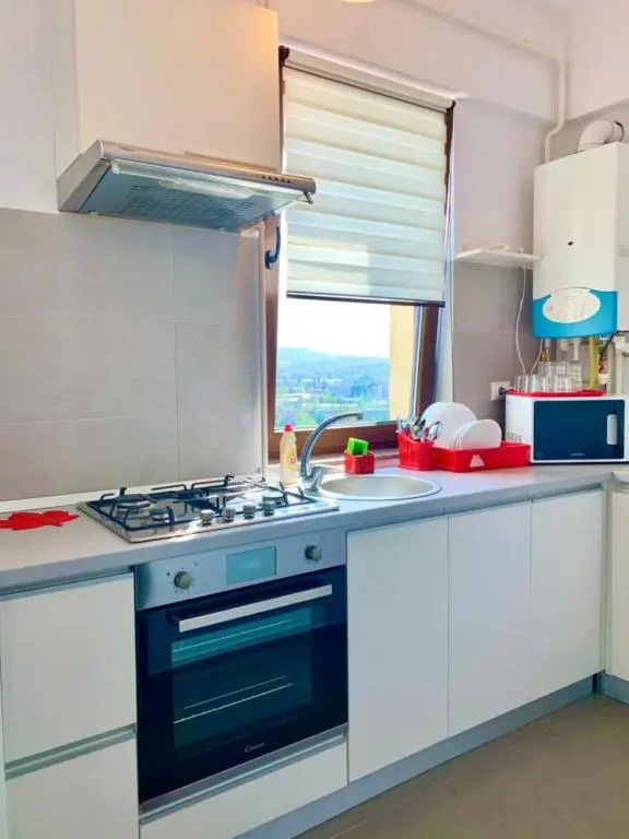 Cozy Luxury Apartments Near Palas Mall Iasi City