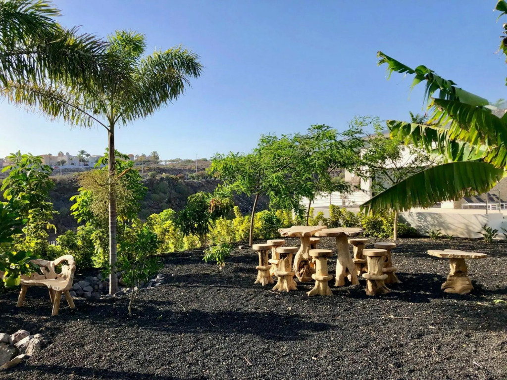 Exclusive Villa on Tenerife with Infinity Pool, Zen Garden