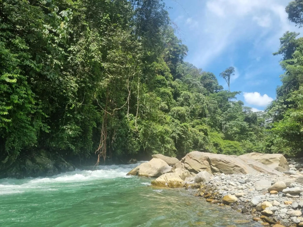 Lucky Bamboo-Bukit Lawang-Bungalows-Restaurant,Direct On The Jungle Border and Jungle Trekking Tours