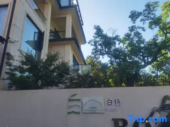 Anji Spring Breeze, White Poplar, Boling Small Hidden Beauty Residence.