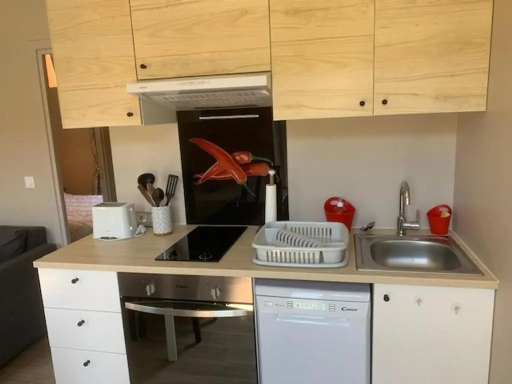 Appartement Mont-Dore, 2 pièces, 4 personnes - FR-1-415-119