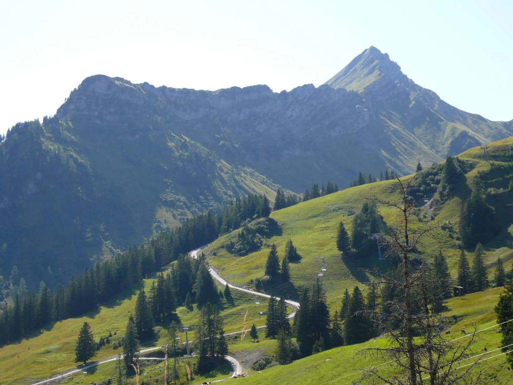 Haus Windegga