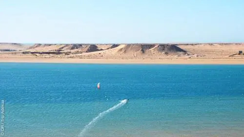 El Bachir