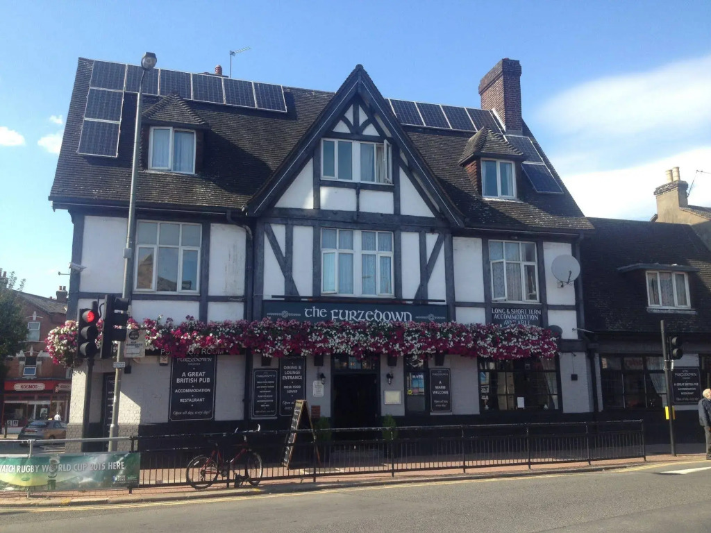 The Furzedown
