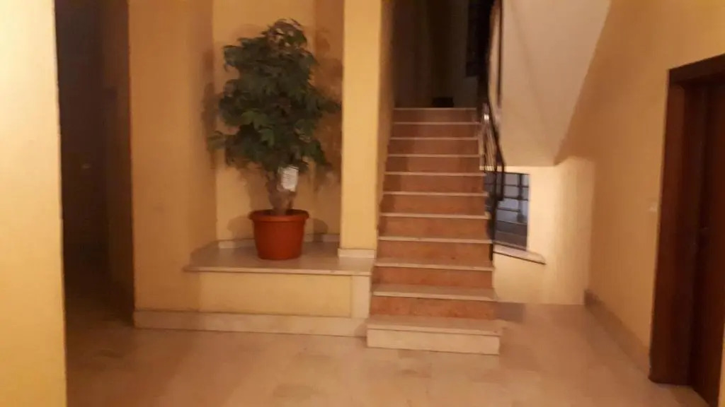 casa leonardo