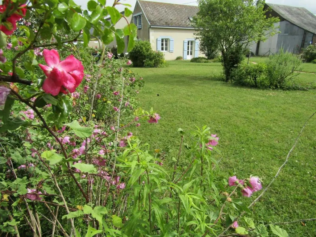 Gîte confortable avec grand jardin privé et WIFI - FR-1-381-494