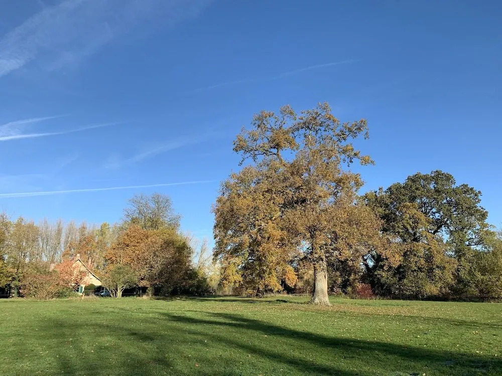 Le Manoir de Bois-en-Ardres