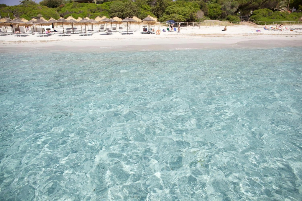 Boutique Hotel Su Sergenti