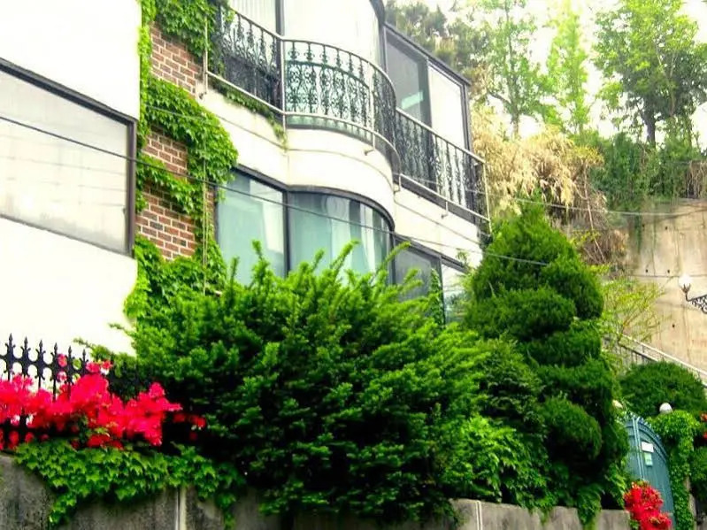 COEX Bnb House