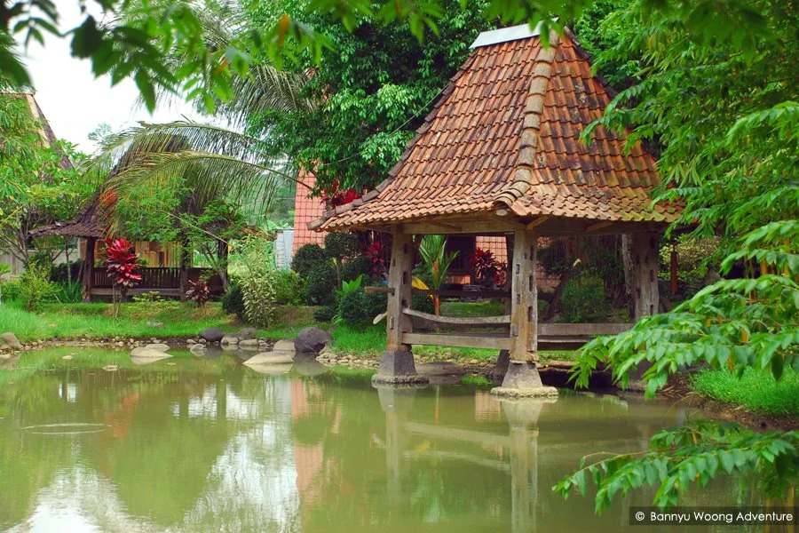 The Pikas Resort