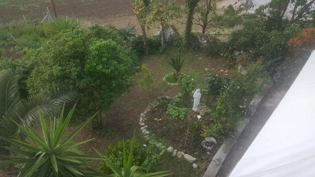 B e B Il Vigneto