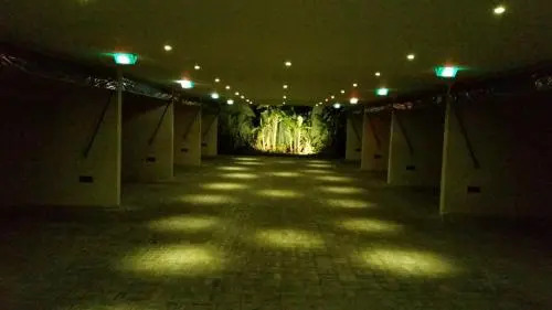 Matisse Motel