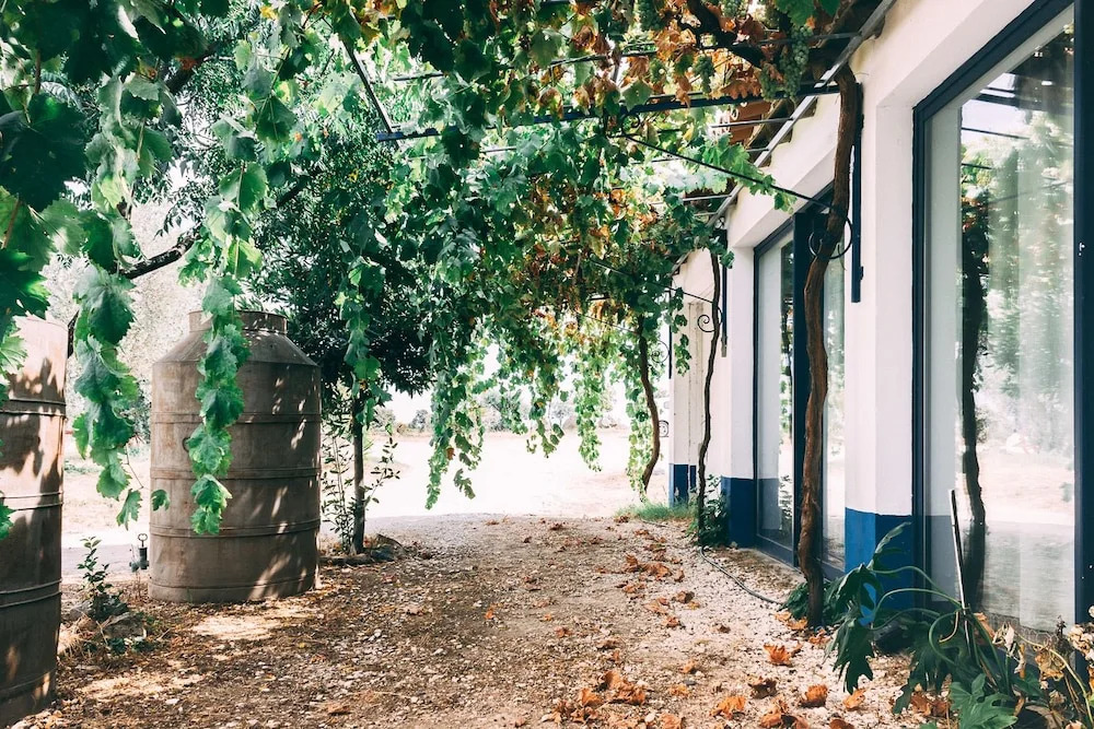 Monte do Colmeal - Country House & Wine