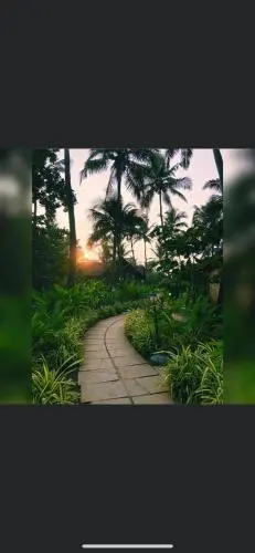 The Village Anjuna
