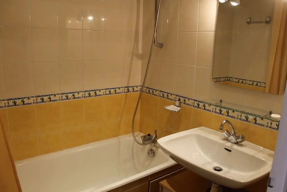 Les Enfetchores - apartment overlooking la Meije