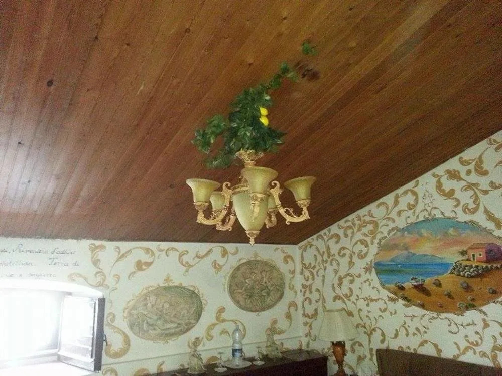 SiculaFolk