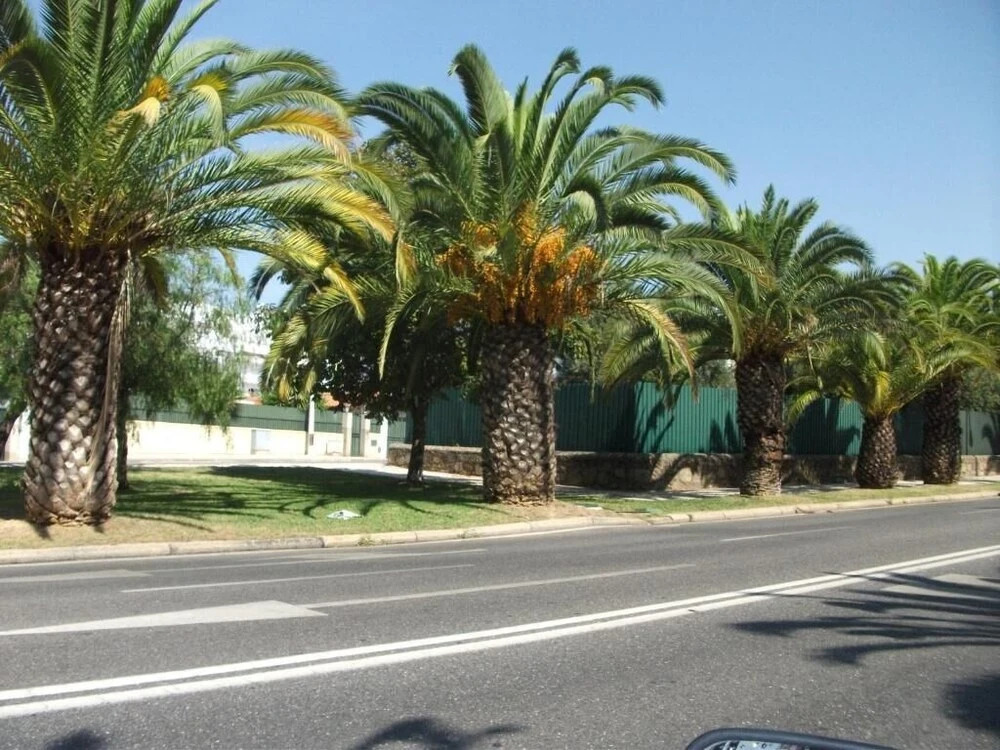 Casa Dos Bordados