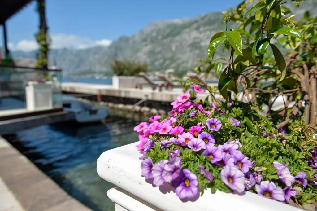 SEASIDE HOUSE KOTOR