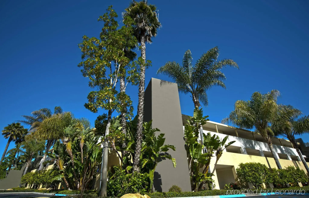 Lemon Tree Inn