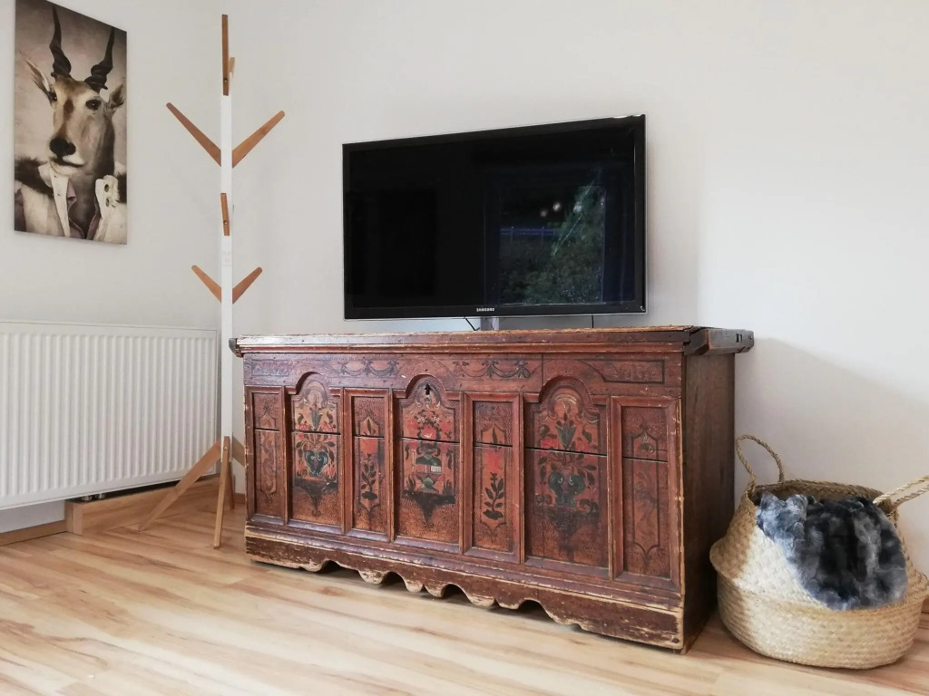 Cosy Apartment in Dienten with mountain view