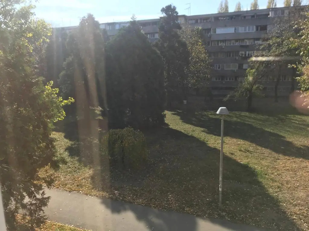 Lovely Apartment 2