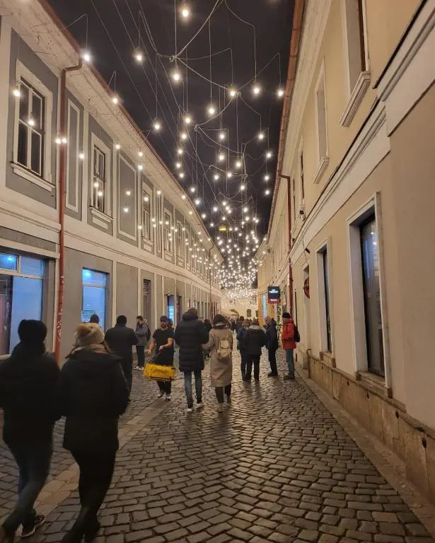 Făget Residence