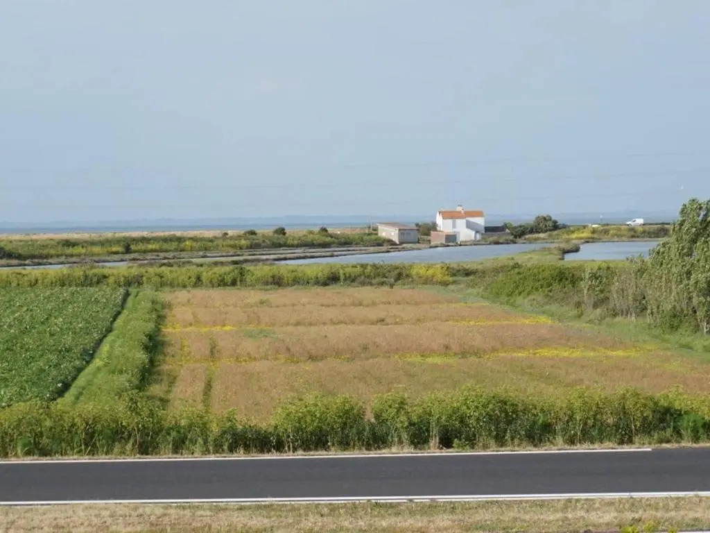Maison neuve près des dunes avec jardin clos, 3 chambres et tout confort, à 800m de la plage - FR-1-224B-548