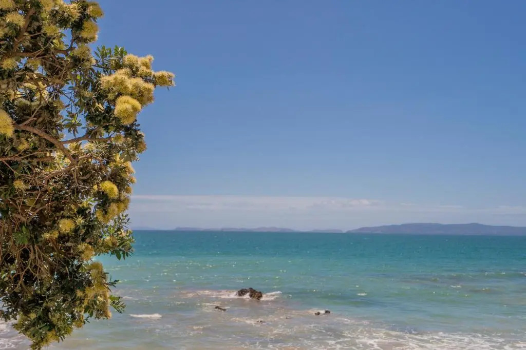 Hosts on the Coast Ātaahua