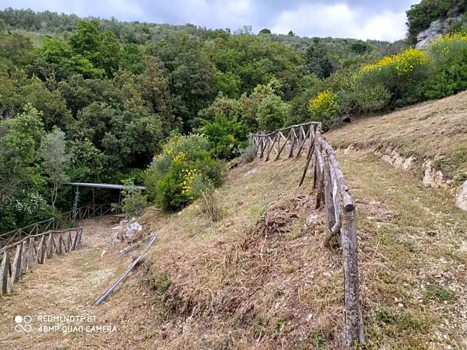 b&b Tenuta San Felice