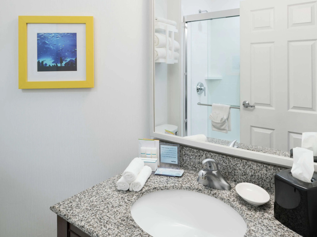 Hampton Inn & Suites Atlanta-Downtown