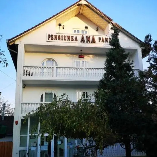 Pensiunea Ana