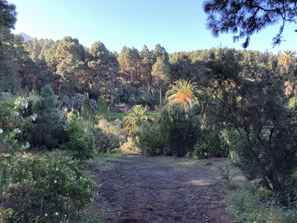 Monte frio de Tenerife