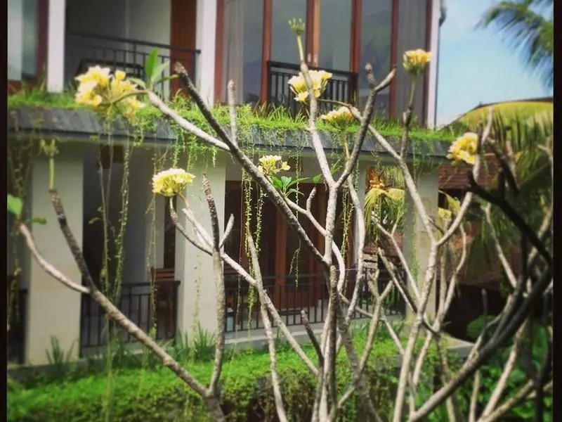 Nani House 2