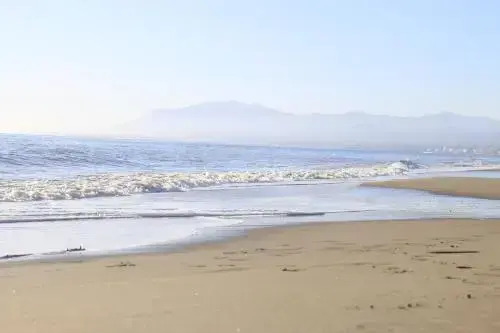 Wood House Close Beach