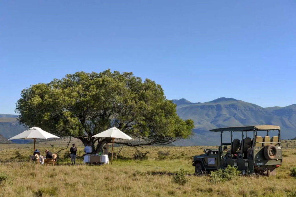 Mount Camdeboo Private Game Reserve by NEWMARK