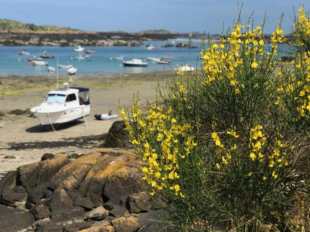 Le Cottage De La Baie