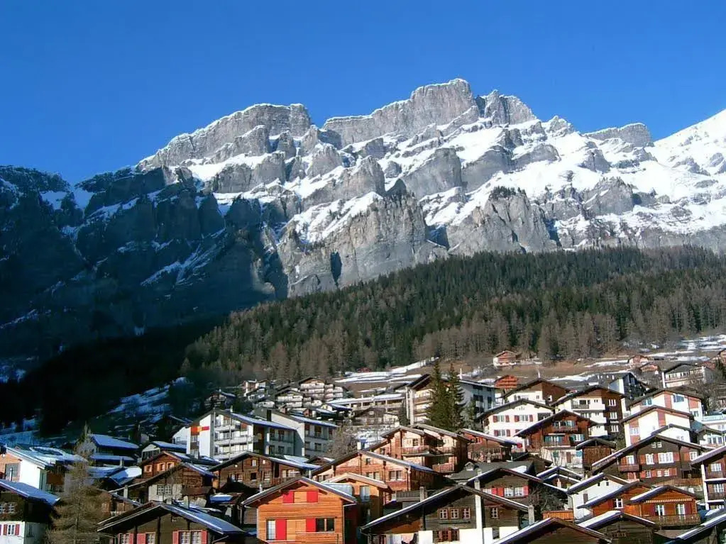 Apartments Steinbock - Mountain Views & Central Location